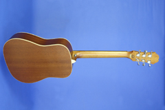 Thum Epiphone Expedition travel guitar, image 3