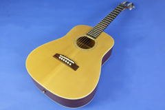 Thum Epiphone Expedition travel guitar, image 5