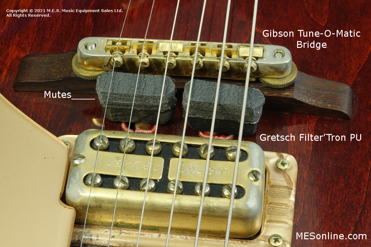 Gretsch Chet Atkins Country Gentleman w/case, 1963, image 9