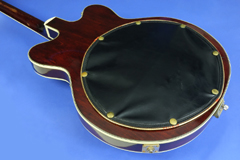 Gretsch Chet Atkins Country Gentleman w/case, 1963, image 5