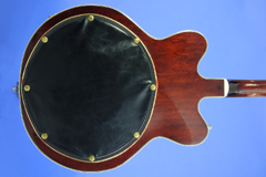 Gretsch Chet Atkins Country Gentleman w/case, 1963, image 4